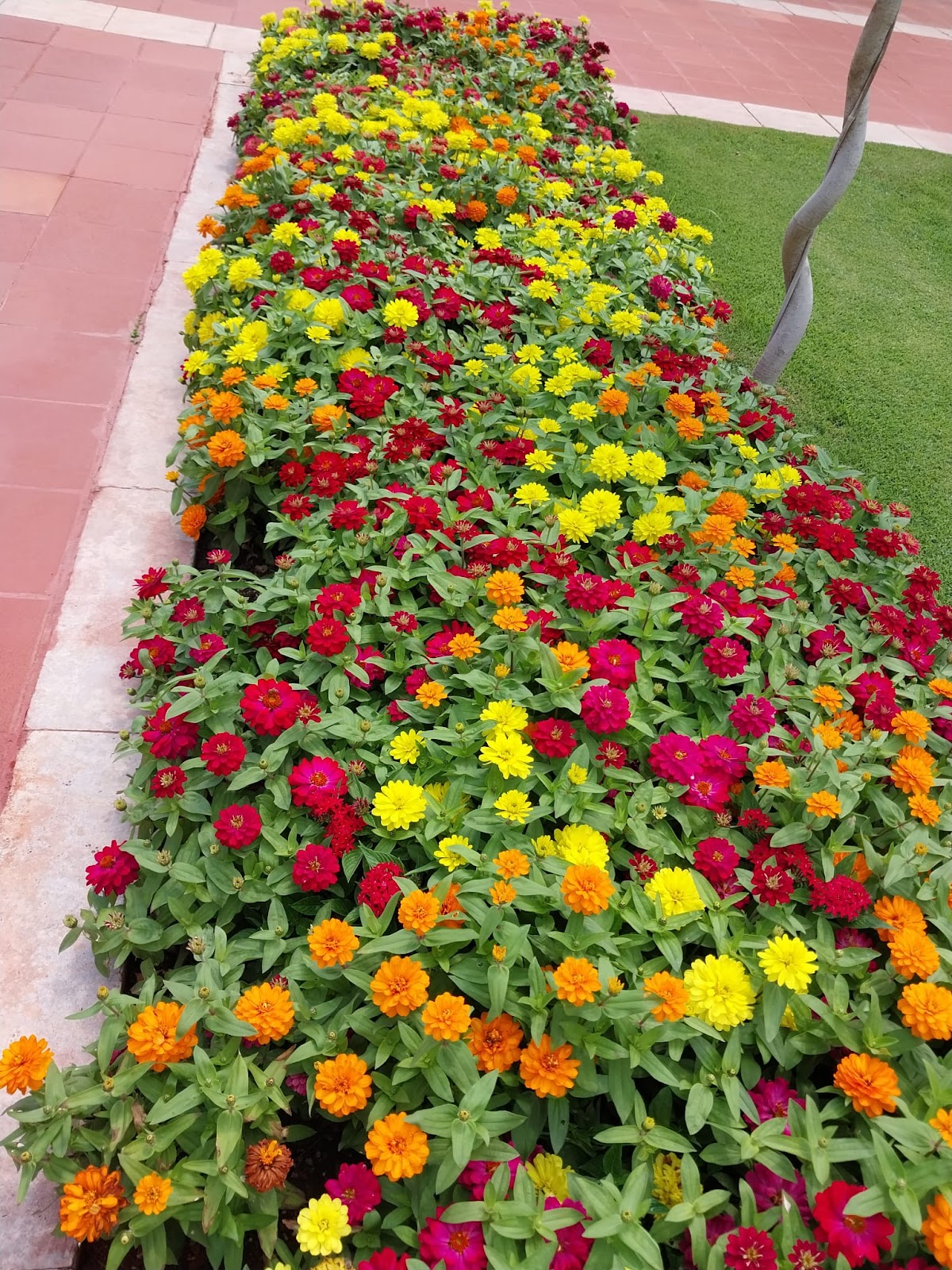 Utku Peyzaj Kemer Antalya Mağaza fotoğrafı 6